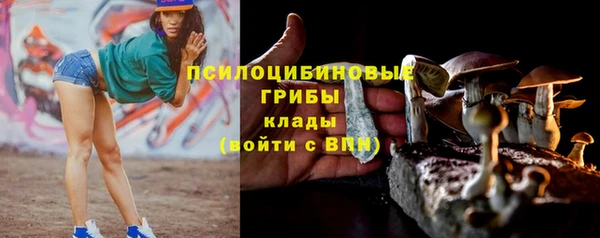 молекула духа Алзамай