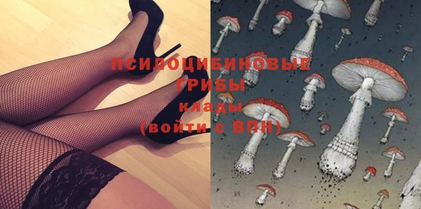 героин Алексин