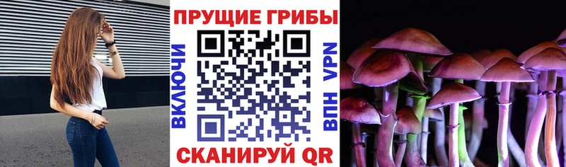 Галлюциногенные грибы GOLDEN TEACHER  гидра ССЫЛКА  Вышний Волочёк 